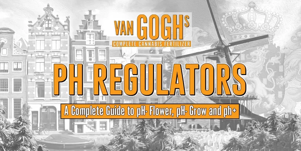 Complete Guide to pH regulators