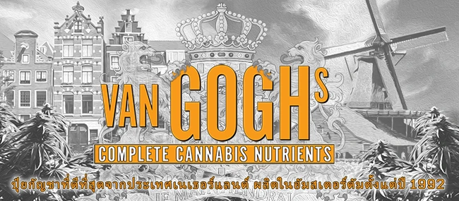 Van Goghs Thai Catalog